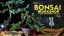 Bonsai-Workshop.jpg