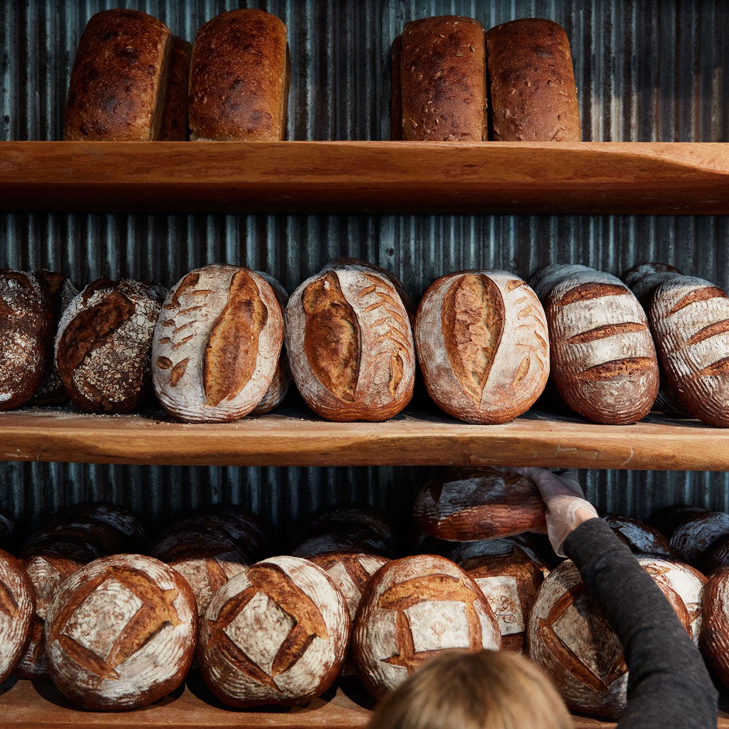 Chicago-hewn-bakery-bread-dinner