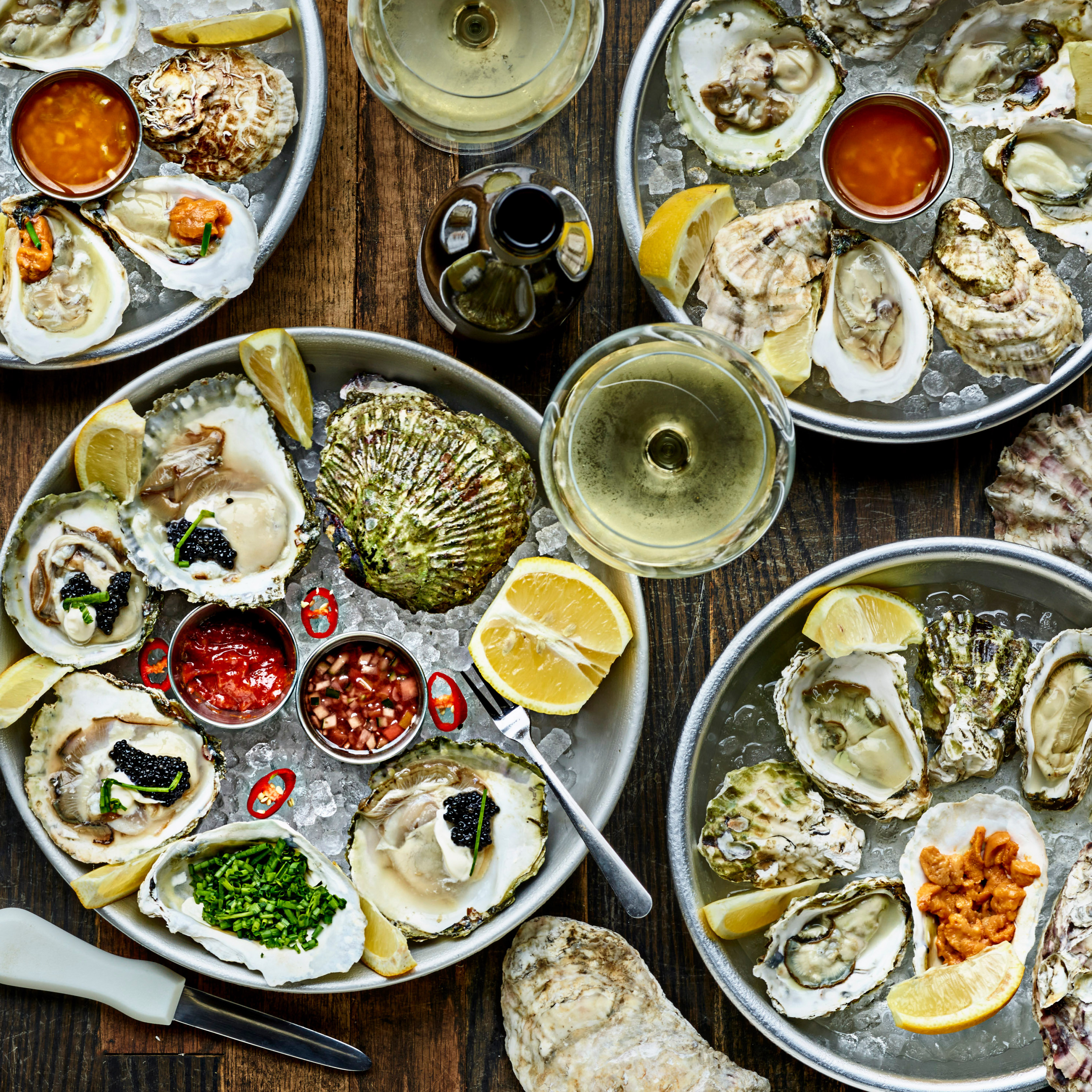 learn to shuck oysters