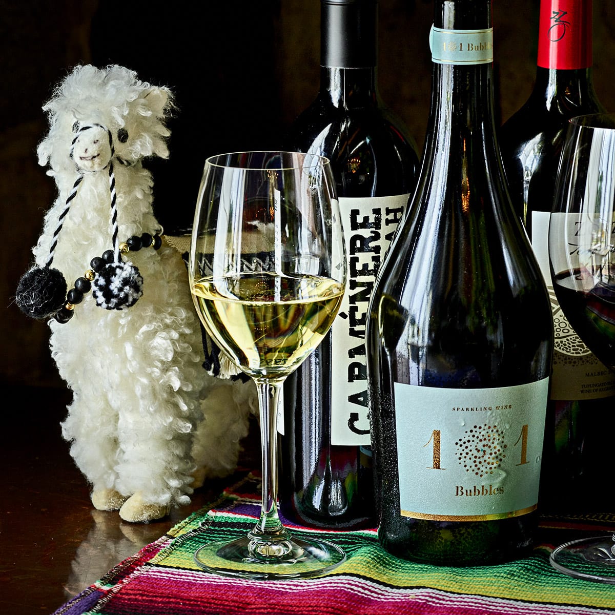 south american wines 101